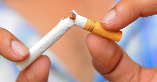 В Адмиралтейском районе расскажут о вреде табакокурения