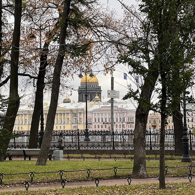 Осенью в Санкт-Петербурге было высажено около 8000 деревьев