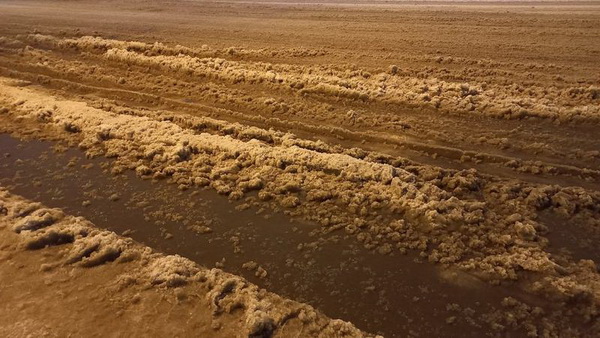 Снегопад проявил все слабые места в организации уборки и дорожного движения Петербурга