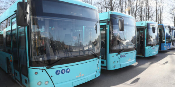 Через пять районов Петербурга в июне запустят новый автобусный маршрут
