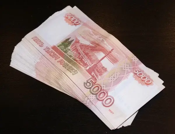 Фонд президентских грантов направил более 200 миллионов рублей на поддержку петербургских НКО