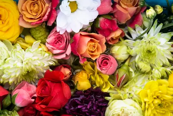 Цветник, посвященный Северной столице, стал победителем Фестиваля цветов-2022 года