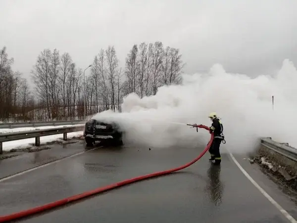 На территории Невского района загорелось два автомобиля