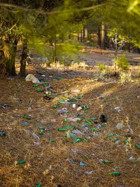 Каждый район города будет оснащен экопунктами для приема опасных отходов